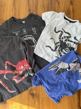 Tea Collection size 3 Bundle